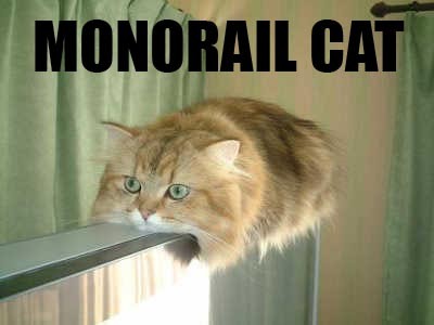 Monorail cat